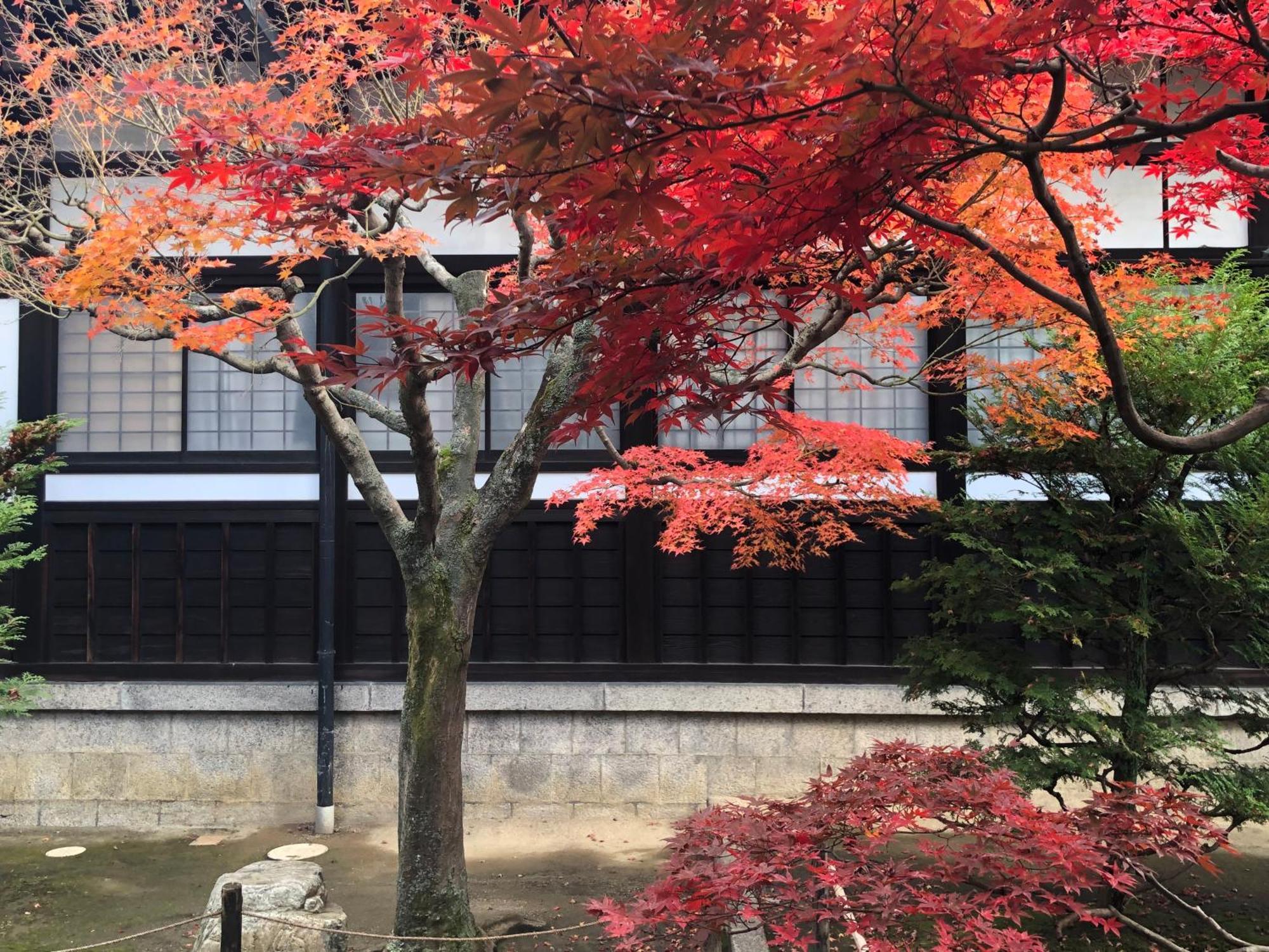 Inari-Home Kyoto Ngoại thất bức ảnh