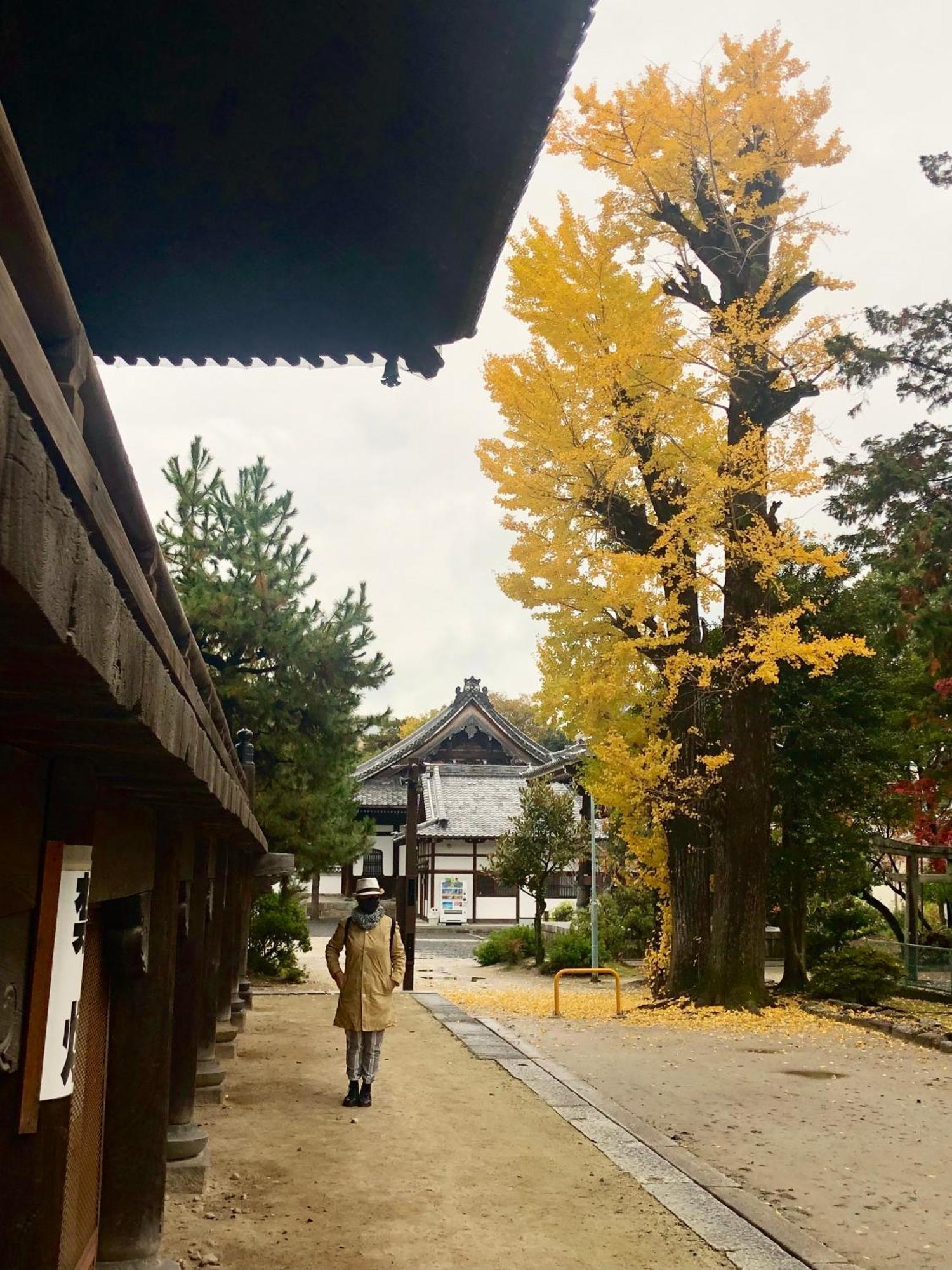 Inari-Home Kyoto Ngoại thất bức ảnh
