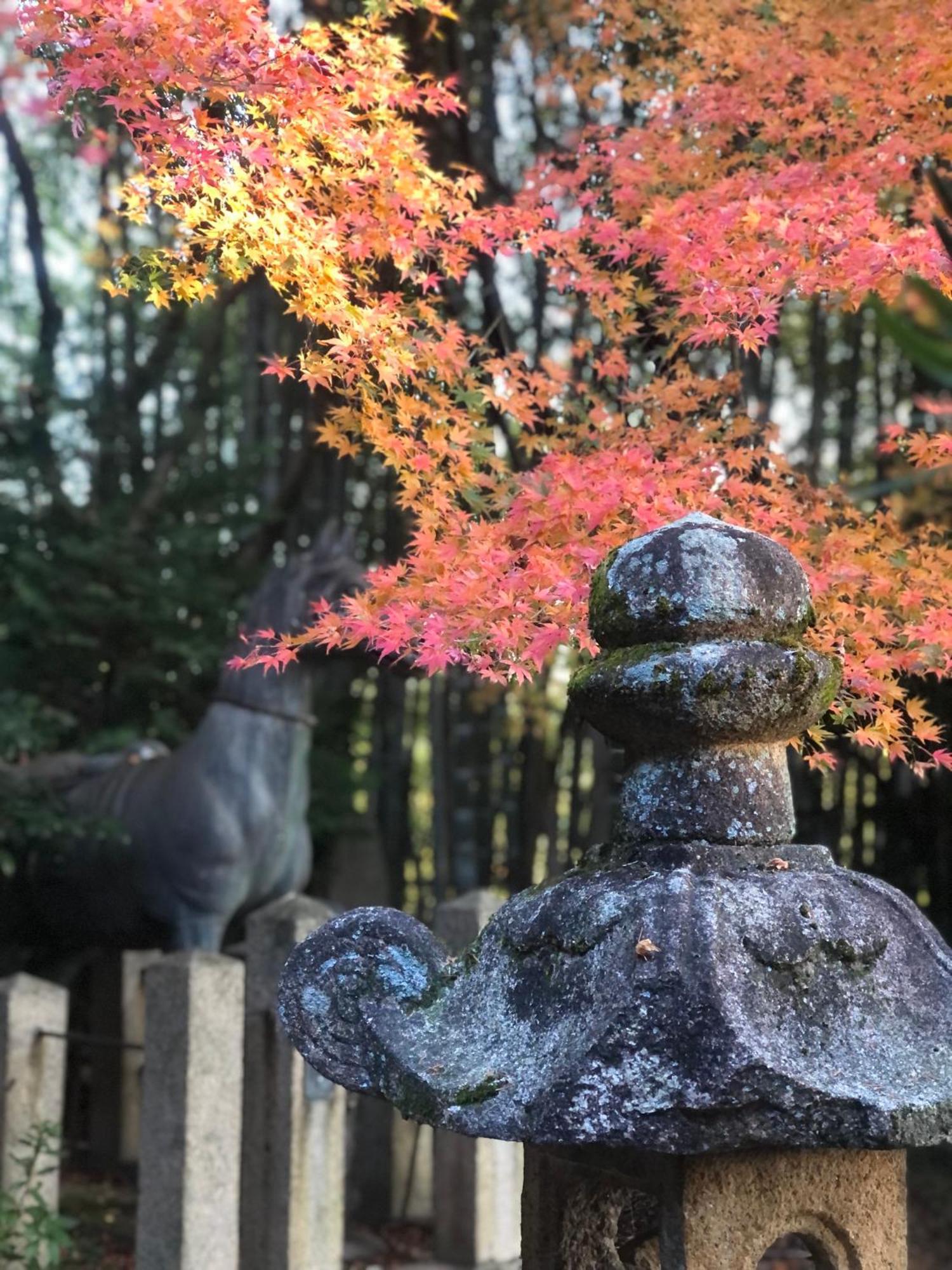 Inari-Home Kyoto Ngoại thất bức ảnh