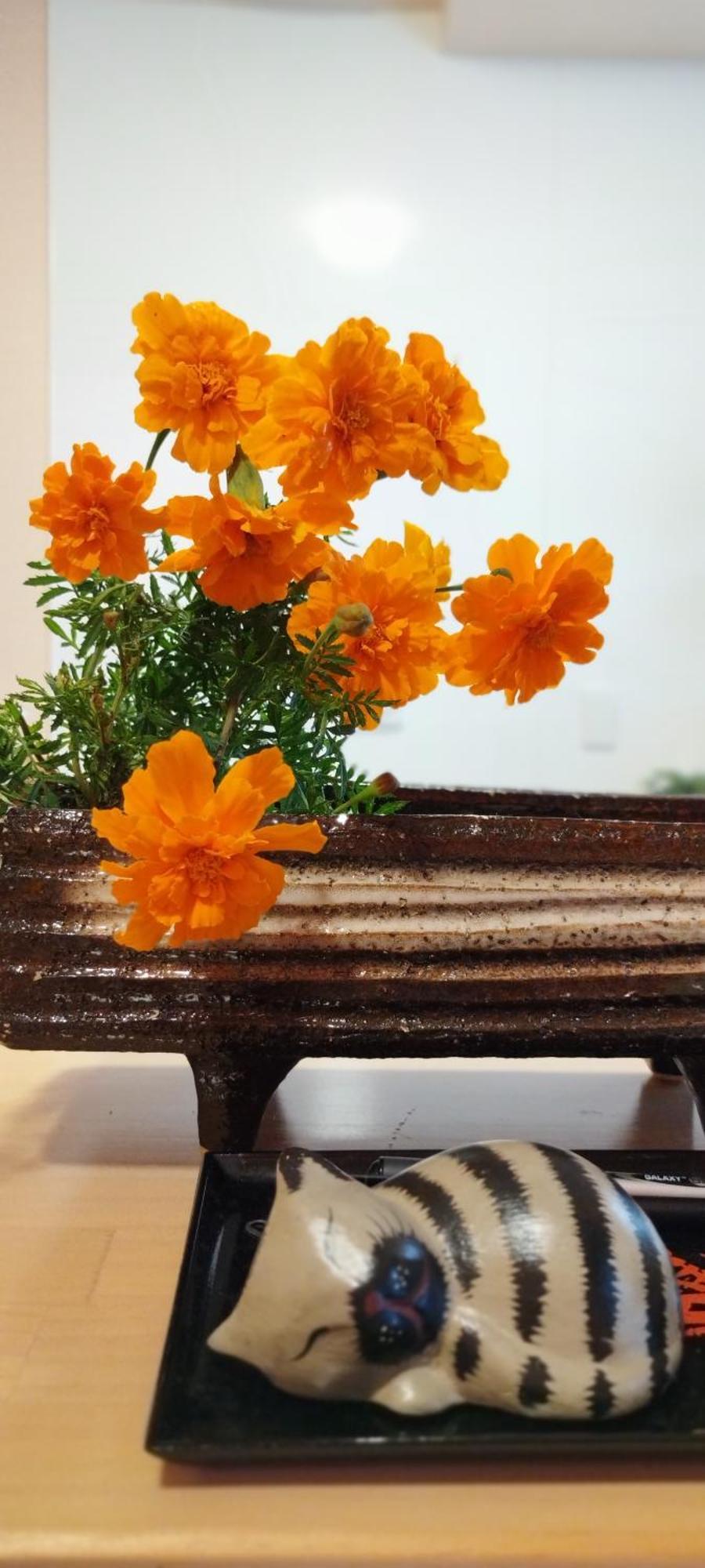 Inari-Home Kyoto Ngoại thất bức ảnh