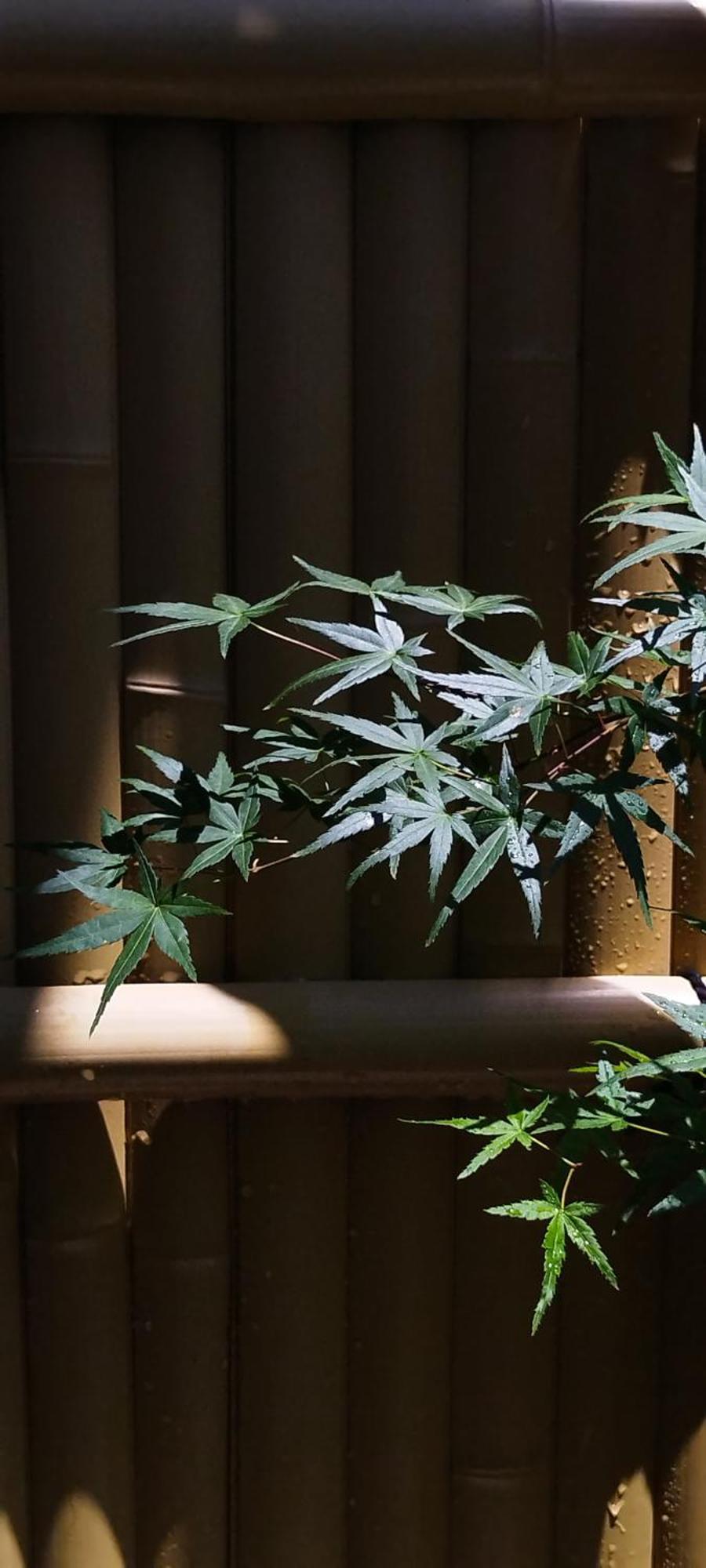 Inari-Home Kyoto Ngoại thất bức ảnh